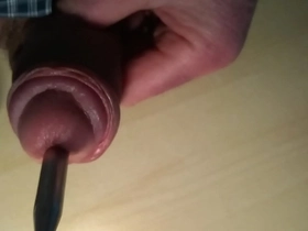 Penis Plug insert