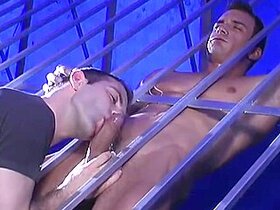 Passionate Lover Is Sucking A Dick Through The Rods